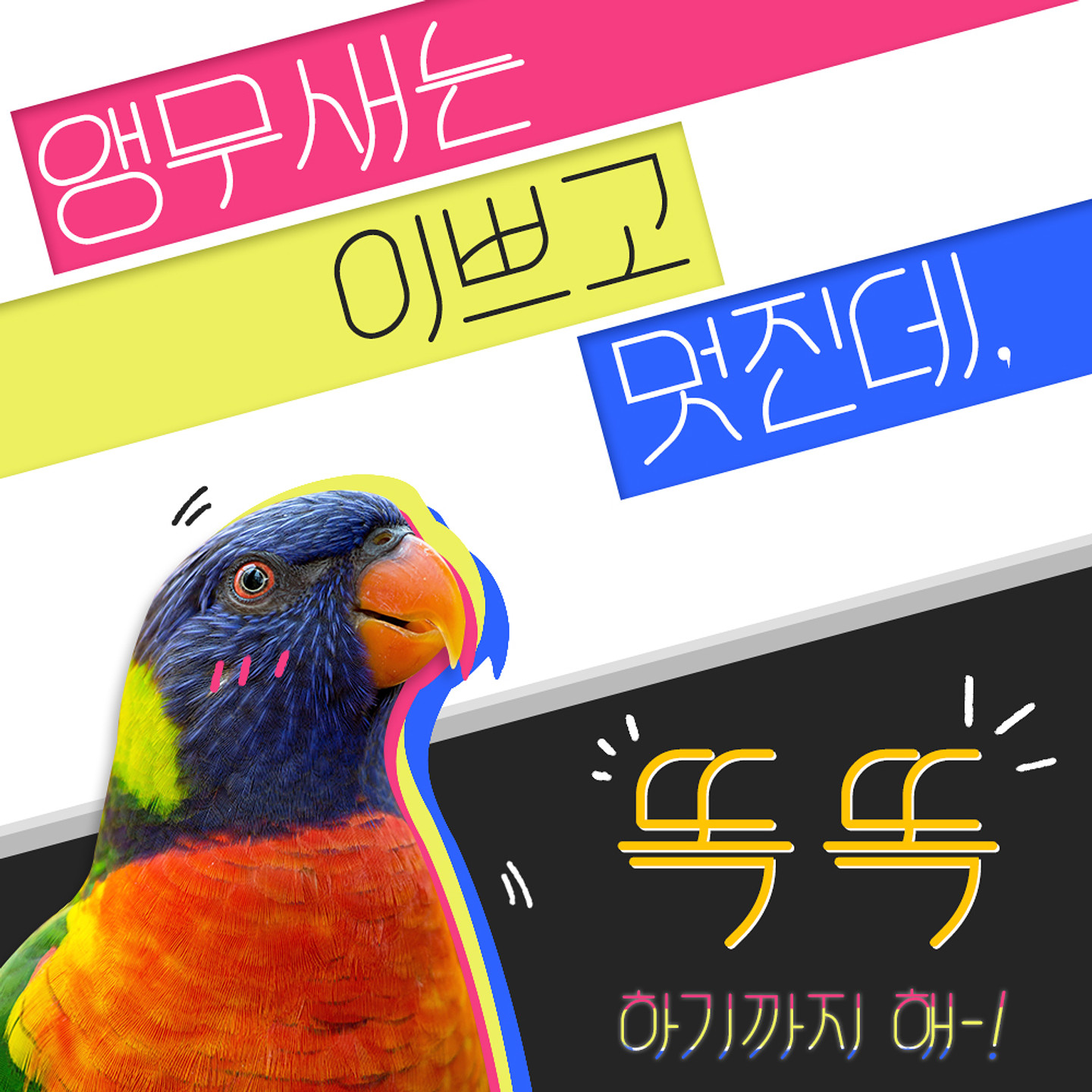 116앵무부리 아무 디자인