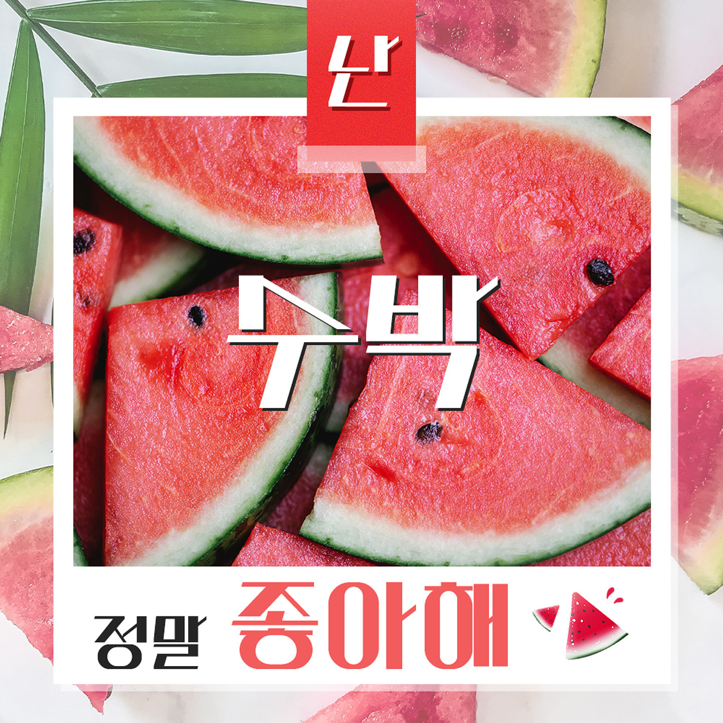 116수박화체 아무 디자인