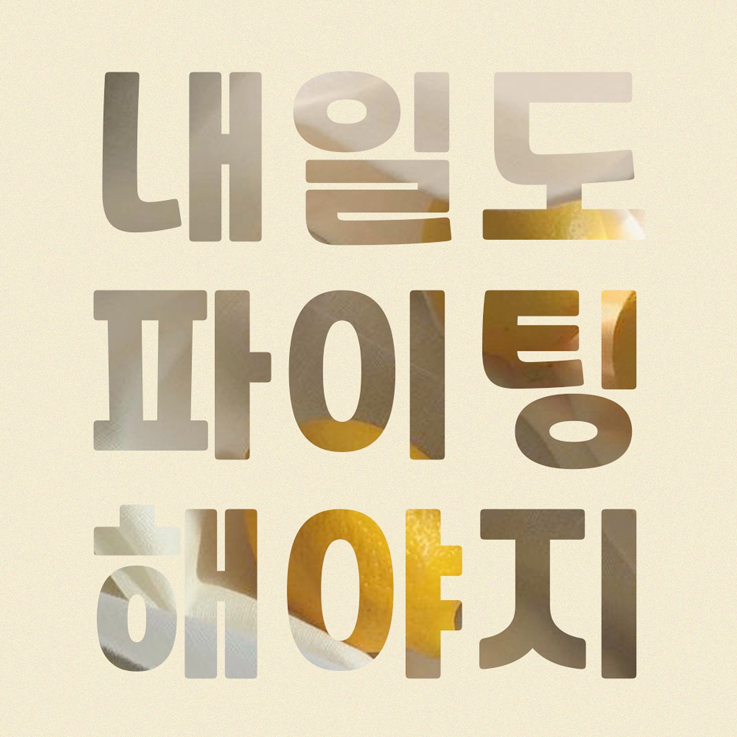 레코체 아무 디자인