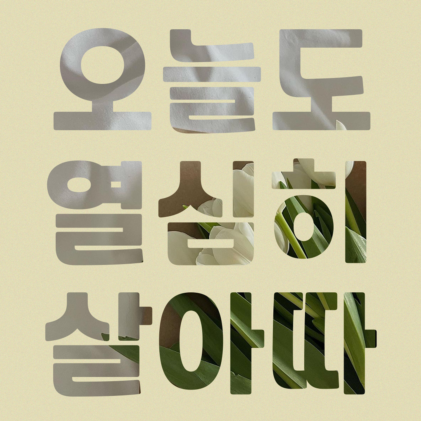 레코체 아무 디자인