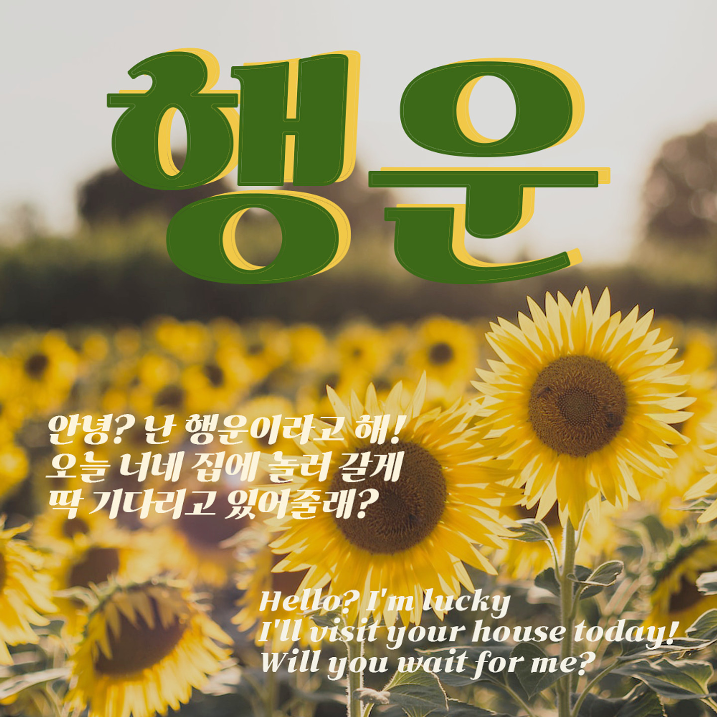 가나초콜릿체 아무 디자인