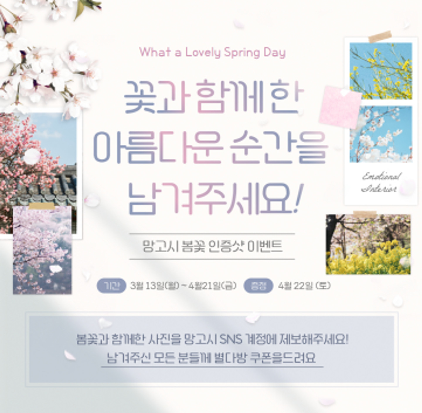 망고보드 또박체 아무 디자인