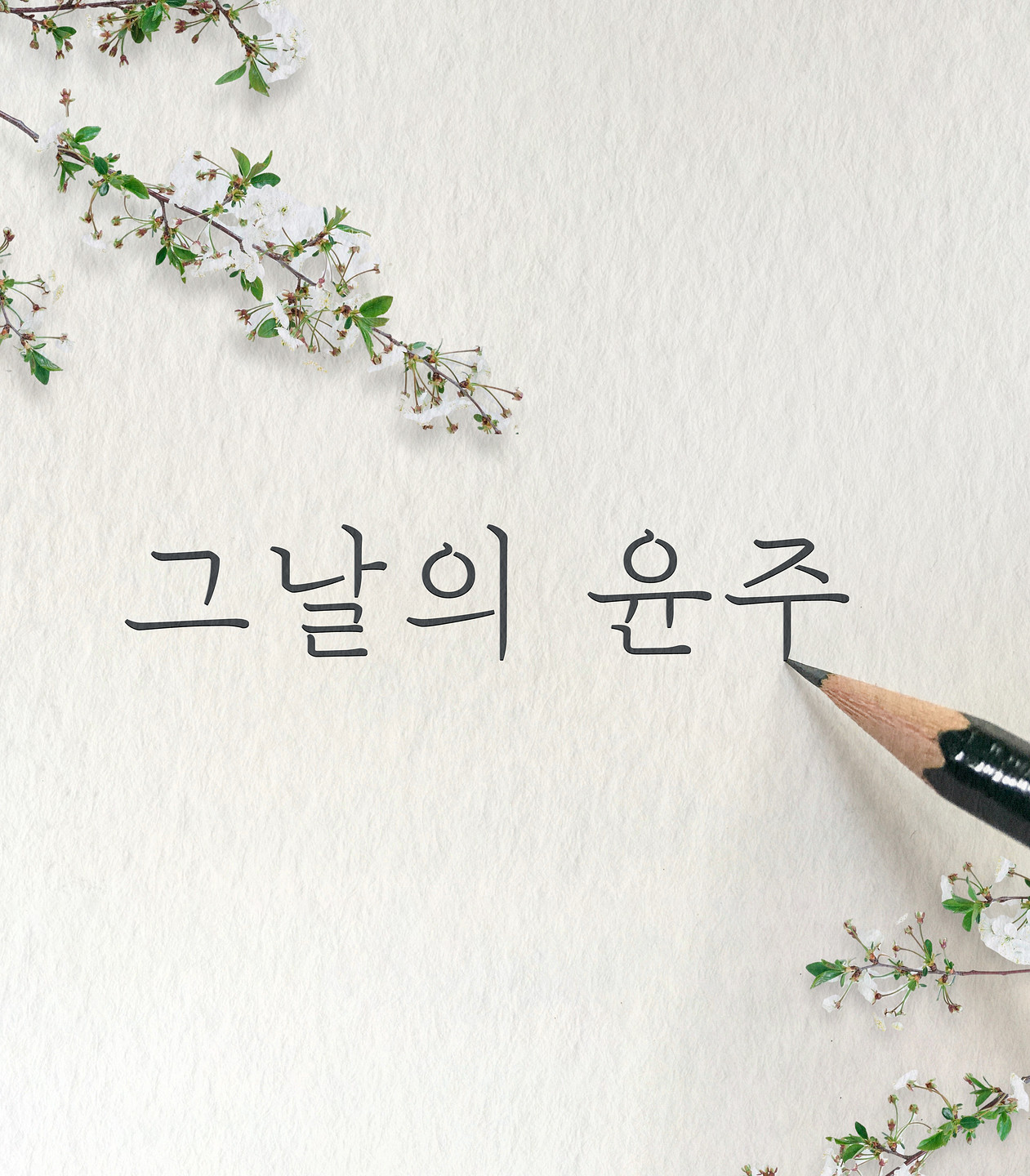 마포꽃섬 아무 디자인