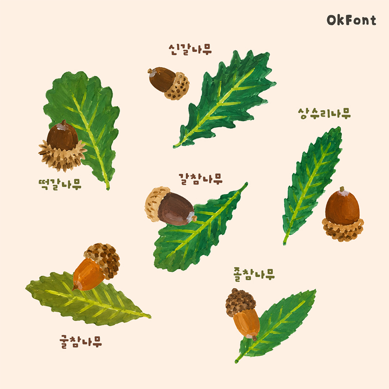 첨부 이미지