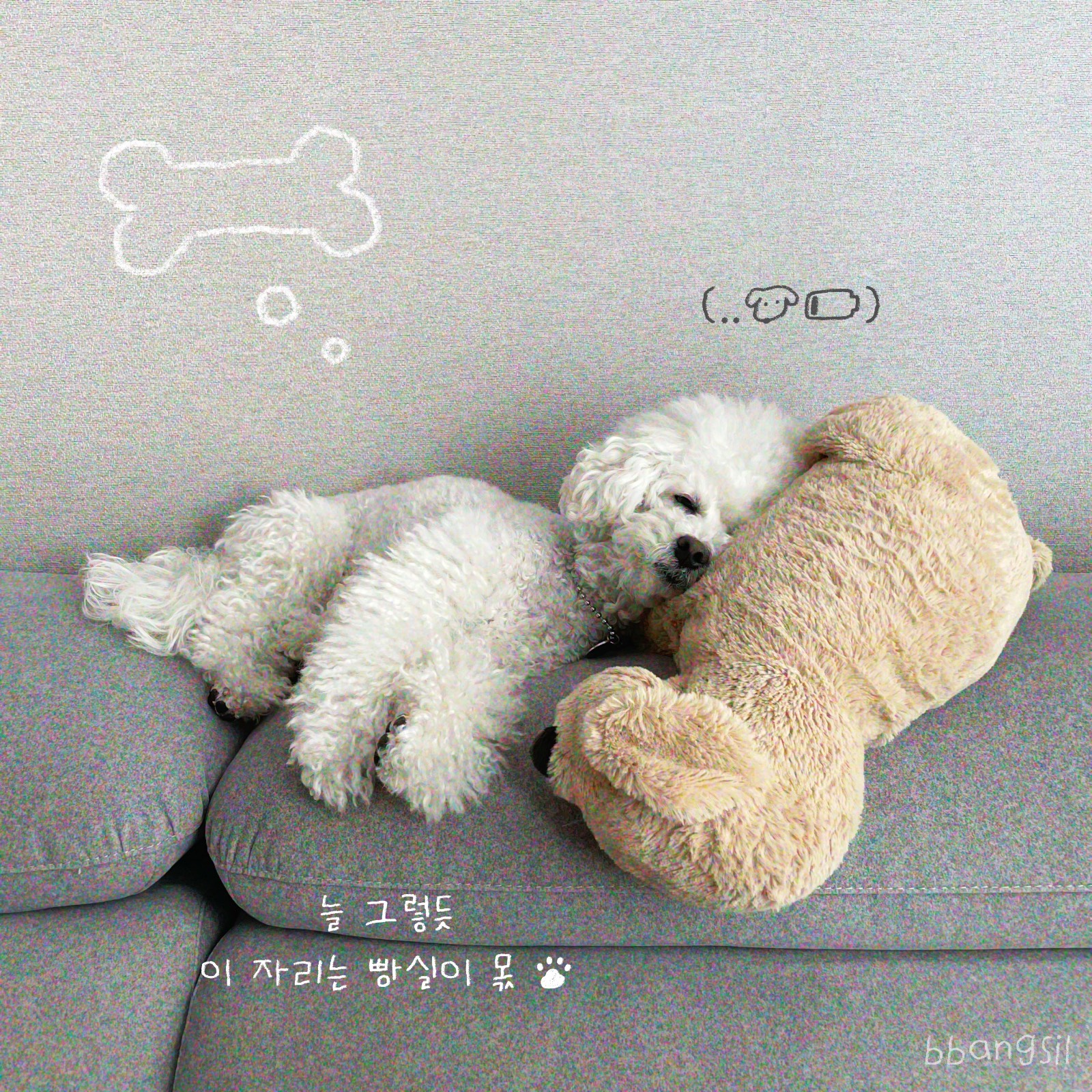첨부 이미지