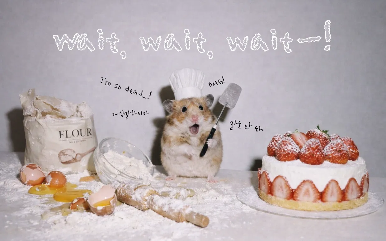 폰트 예시 이미지 1