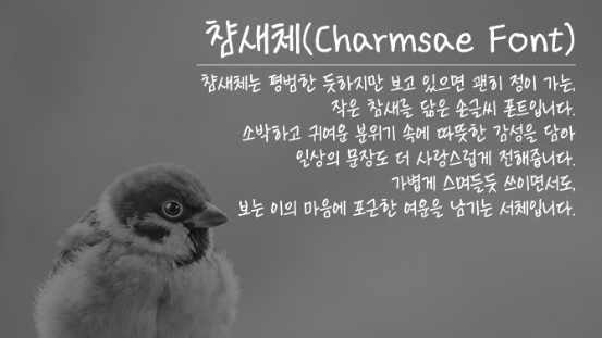 폰트 예시 이미지 1