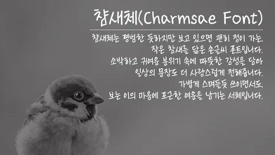 폰트 예시 이미지 1