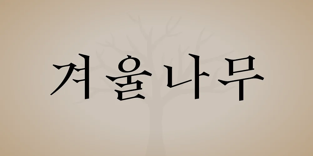폰트 예시 이미지 1